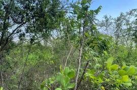 Residential Lot for Sale in Kingston 20