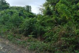 Residential Lot for Sale in Runaway Bay