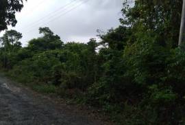 Residential Lot for Sale in Runaway Bay