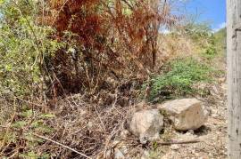 Residential Lot for Sale in Kingston 2