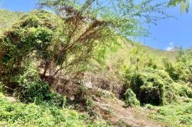 Residential Lot for Sale in Kingston 2