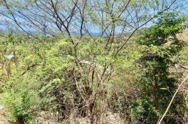 Residential Lot for Sale in Kingston 2