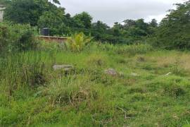 Residential Lot for Sale in Lucea