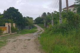 Residential Lot for Sale in Lucea