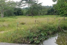 Residential Lot for Sale in Lucea