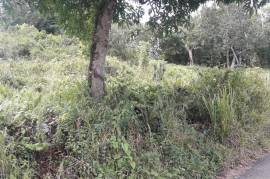 Residential Lot for Sale in Claremont