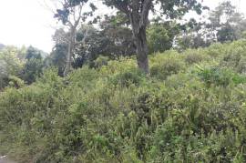 Residential Lot for Sale in Claremont