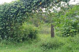 Residential Lot for Sale in Lucea