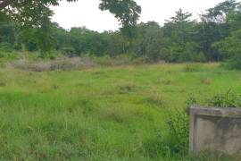 Residential Lot for Sale in Lucea