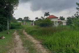 Residential Lot for Sale in Lucea