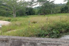 Residential Lot for Sale in Lucea