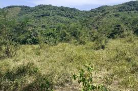 Residential Lot for Sale in Anchovy