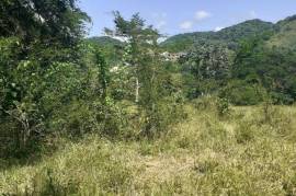 Residential Lot for Sale in Anchovy