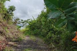 Residential Lot for Sale in Kingston 19