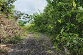 Residential Lot for Sale in Kingston 19