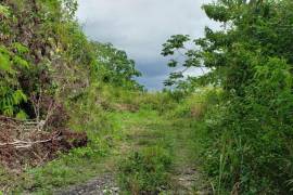 Residential Lot for Sale in Kingston 19