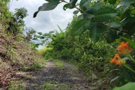 Residential Lot for Sale in Kingston 19