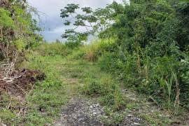 Residential Lot for Sale in Kingston 19