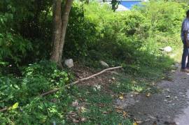 Residential Lot for Sale in Runaway Bay
