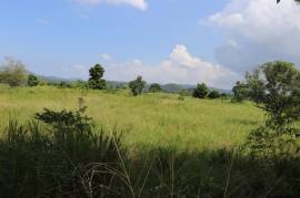 Residential Lot for Sale in Linstead