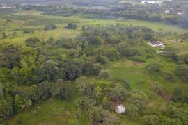 Residential Lot for Sale in Linstead