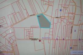 Residential Lot for Sale in Duanvale