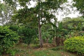 Residential Lot for Sale in Duanvale