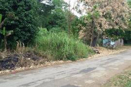 Residential Lot for Sale in Duanvale