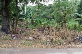 Residential Lot for Sale in Duanvale