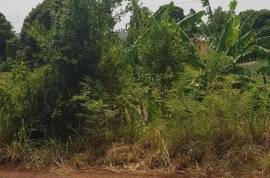 Residential Lot for Sale in Aligator Pond