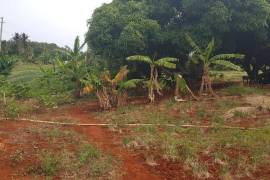 Residential Lot for Sale in Aligator Pond