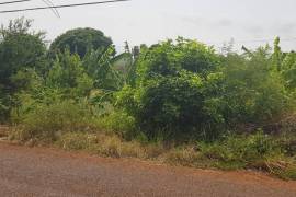 Residential Lot for Sale in Aligator Pond