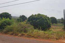 Residential Lot for Sale in Aligator Pond