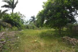 Residential Lot for Sale in Black River