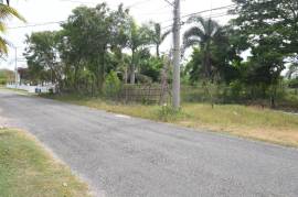 Residential Lot for Sale in Black River