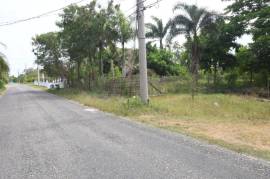 Residential Lot for Sale in Black River