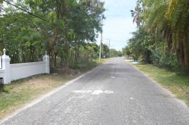 Residential Lot for Sale in Black River