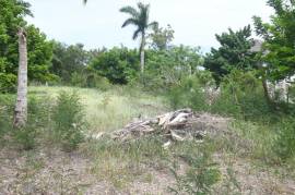 Residential Lot for Sale in Black River