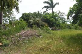 Residential Lot for Sale in Black River