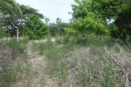 Residential Lot for Sale in Black River