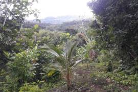 Residential Lot for Sale in Free Hill