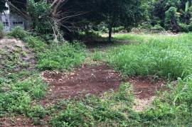 Residential Lot for Sale in Lodge