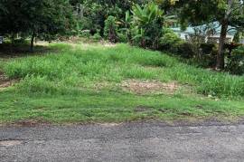 Residential Lot for Sale in Lodge