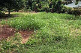 Residential Lot for Sale in Lodge