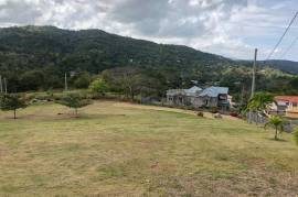 Residential Lot for Sale in Ocho Rios