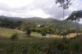 Residential Lot for Sale in Ocho Rios