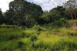 Residential Lot for Sale in Falmouth