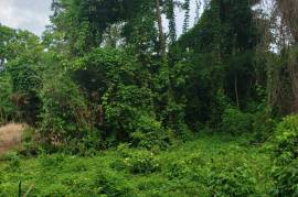 Residential Lot for Sale in Boscobel