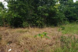 Residential Lot for Sale in Boscobel