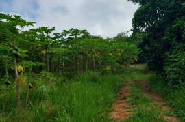 Residential Lot for Sale in Boscobel